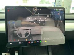 Tesla Model Y Performance All-Wheel Drive - ფოტო 16
