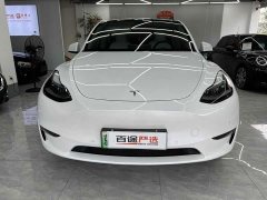 Tesla Model Y Performance All-Wheel Drive - ფოტო 3