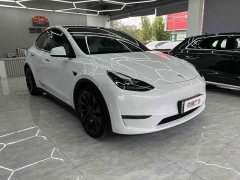 Tesla Model Y Performance All-Wheel Drive - ფოტო 4