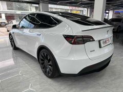 Tesla Model Y Performance All-Wheel Drive - ფოტო 7