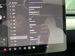 Tesla Model Y Performance All-Wheel Drive - ფოტო 8