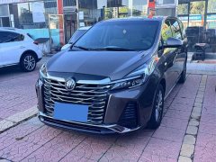Buick GL8 Land Executive Cabin 652T Smart Luxury - ფოტო 1
