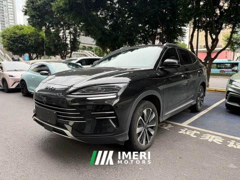 2025 BYD Song Plus New Energy DM-i 112KM Prestige - ავტომობილი ჩინეთიდან