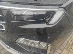 Ford Lingyue EcoBoost 225 Platinum Edition 6-Seater - фото 5