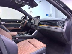 BYD Tang New Energy DM-i 112KM Premium Edition - photo 7