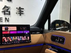 Zeekr 9X Ultra 70kWh 6-Seater - photo 14