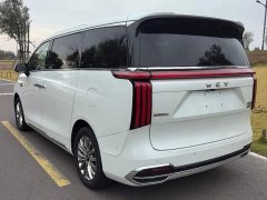 Great Wall WEY Shanshan New Energy Four-Wheel Drive Flagship Edition - ფოტო 3
