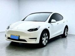 Tesla Model Y Rear-Wheel Drive - фото 1