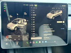 Tesla Model Y Rear-Wheel Drive - фото 10