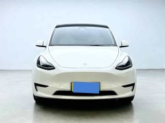 Tesla Model Y Rear-Wheel Drive - фото 2