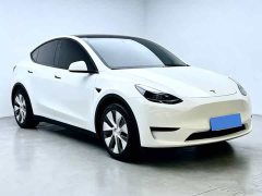 Tesla Model Y Rear-Wheel Drive - фото 3