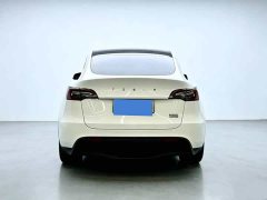 Tesla Model Y Rear-Wheel Drive - фото 5