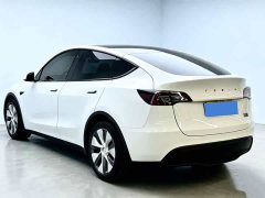 Tesla Model Y Rear-Wheel Drive - фото 6