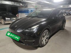 Tesla Model Y Long Range All-Wheel Drive 3D7 - фото 1