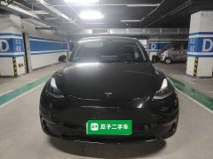 Tesla Model Y Long Range All-Wheel Drive 3D7 - фото 2