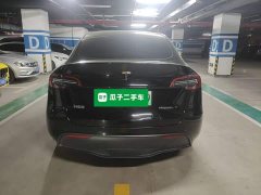 Tesla Model Y Long Range All-Wheel Drive 3D7 - фото 3