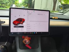 Tesla Model Y Long Range All-Wheel Drive 3D7 - фото 9