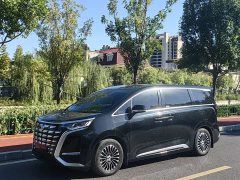 Denza D9 DM-i 970 AWD Flagship - ფოტო 1