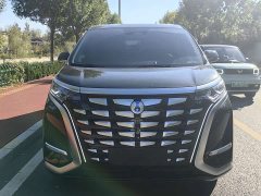 Denza D9 DM-i 970 AWD Flagship - ფოტო 2