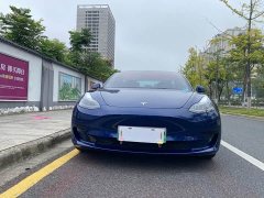 Tesla Model 3 Standard Range RWD Upgrade 3D6 - photo 1