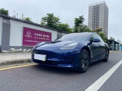 Tesla Model 3 Standard Range RWD Upgrade 3D6 - photo 2