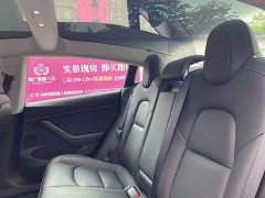 Tesla Model 3 Standard Range RWD Upgrade 3D6 - photo 7