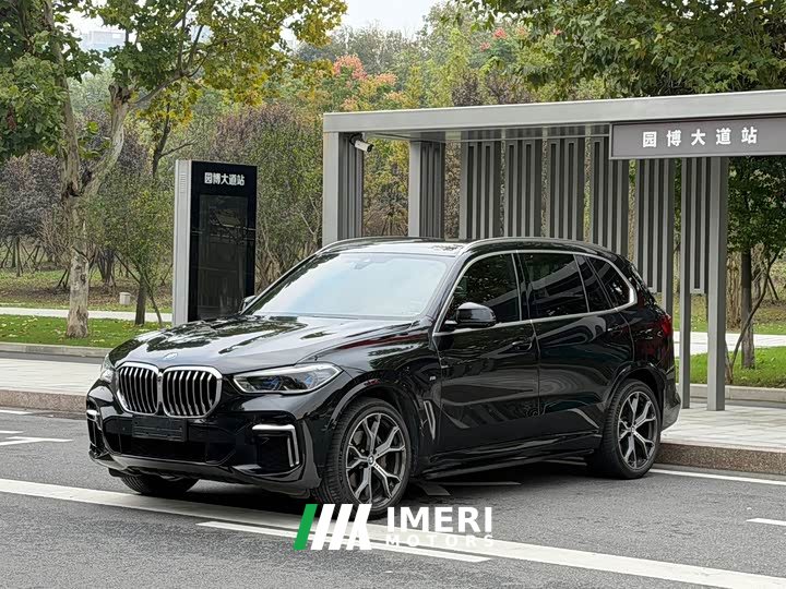 BMW X5 xDrive 40Li M Sport Package - car from China