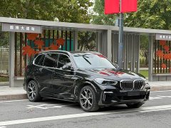 BMW X5 xDrive 40Li M Sport Package - photo 3