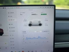 Nio Lerado L60 60kWh Rear-Wheel Drive - photo 8