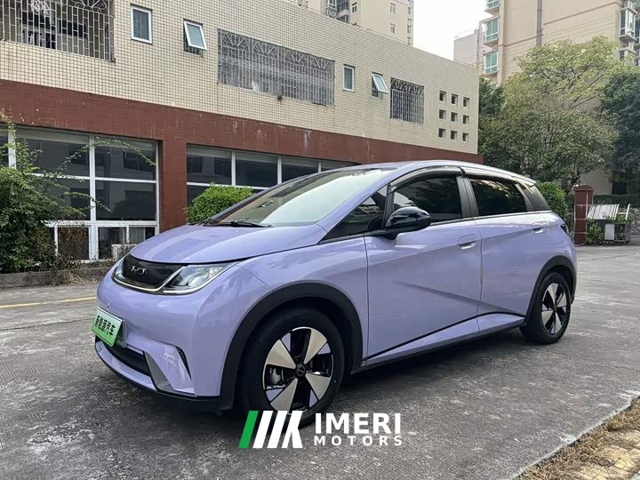 BYD Dolphin 420km Freedom Edition
