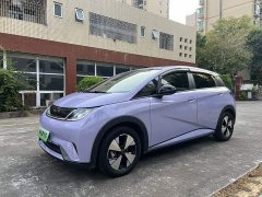 BYD Dolphin 420km Freedom Edition - ფოტო 1