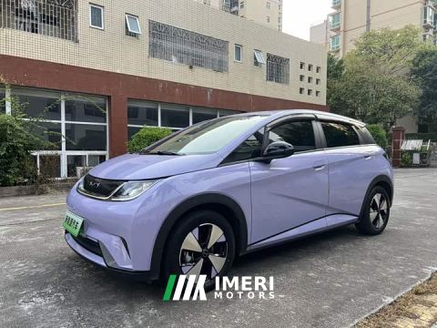 2024 BYD Dolphin 420km Freedom Edition