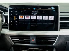 Volkswagen Tiguan L Outstanding Edition 300TSI Automatic FWD Dragon Ascendant Version - photo 13