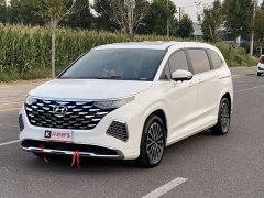 Hyundai Cosutu 270TGDi TOP Smart Love Flagship Edition - фото 1