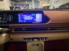 ORA Good Cat 400km Standard Range Venus Edition Ternary Lithium Battery - ფოტო 10