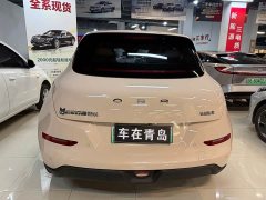 ORA Good Cat 400km Standard Range Venus Edition Ternary Lithium Battery - ფოტო 13