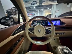ORA Good Cat 400km Standard Range Venus Edition Ternary Lithium Battery - ფოტო 8
