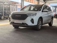 Haval M6 PLUS 1.5T DCT Luxury Smart Connected Edition - ფოტო 1