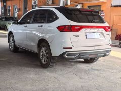 Haval M6 PLUS 1.5T DCT Luxury Smart Connected Edition - ფოტო 7