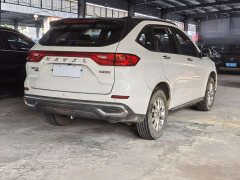Haval M6 PLUS 1.5T DCT Luxury Smart Connected Edition - ფოტო 9