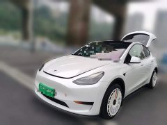 Tesla Model Y Rear-Wheel Drive - ფოტო 1