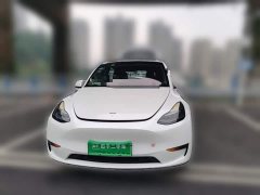 Tesla Model Y Rear-Wheel Drive - ფოტო 2