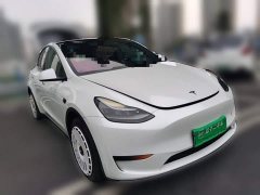 Tesla Model Y Rear-Wheel Drive - ფოტო 3