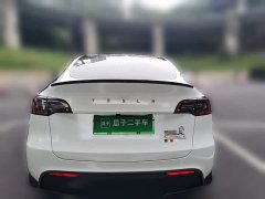 Tesla Model Y Rear-Wheel Drive - ფოტო 5