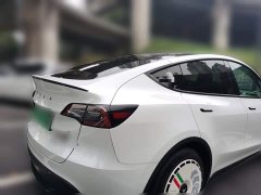 Tesla Model Y Rear-Wheel Drive - ფოტო 6