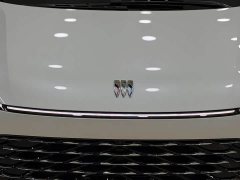 Buick GL8 Luxurious Edition Premium Trim - фото 11