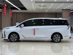 Buick GL8 Luxurious Edition Premium Trim - фото 3
