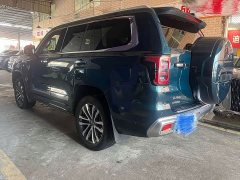 Beijing Jeep BJ60 2022 2.0T Eleventh Edition Five-Seater - photo 16