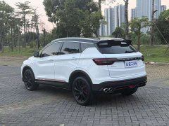 Geely Bingyue 1.5T DCT Diamond Edition - ფოტო 14