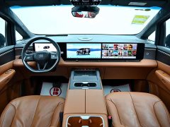 Buick Zhijing Shijia Luxury Edition - photo 16